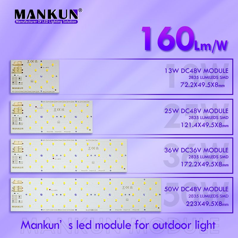 223x49.5mm PCB Module 160Lm/w 50W for Outdoor Lighting modules 20810